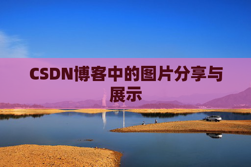 CSDN博客中的图片分享与展示
